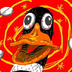 BarDuck