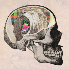 Vakarm - Acid Disaster