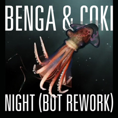 Benga & Coki - Night (Bot Rework)