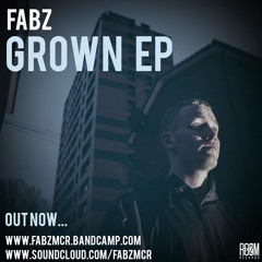 Fabz - Grown E.P - 08 Fabz - What Else can I do (Prod - Kydro)