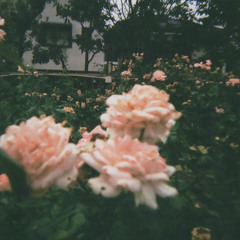 Día de la Primavera