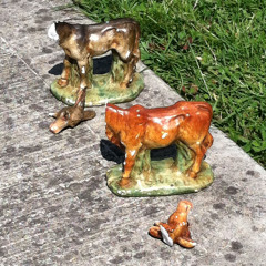 Live @ Beacon Sound 2/13/2015