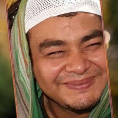 الشيخ محمد المنتصر/ال طه