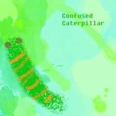 Confused Caterpillar