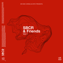 SBCR (Sir Bob Cornelius Rifo aka The Bloody Beetroots) - The Grid
