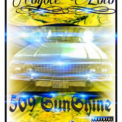 509 SUNSHINE