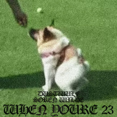 Sorewulf - When You're 23