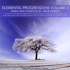 Ryo Nakamura - Melting Of Snow (Original Mix) Preview [Pineapple Digital]