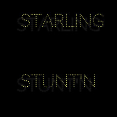 Starling - Stunt'n (prod. by Chizzyy)