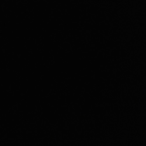 HunchoGang at Og Tookie Williams