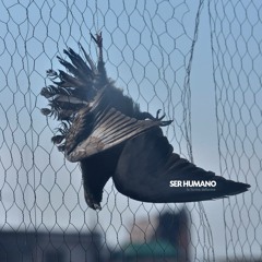 Ser Humano - La Pérdida Del Control