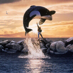 Free Willy