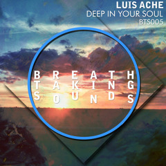 Luis Ache - Deep In Your Soul (Original Mix) OUT MARCH 09 (TRAXSOURCE EXCLUSIVE)