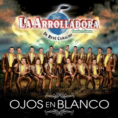 Para que pides perdon La Arrolladora banda el limon (ojos en blanco)