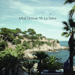 Mind Groove 16: La Selva