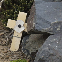 Diatribe - Goose Green