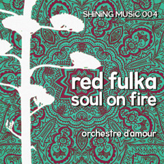Orchestre D'Amour - Red Fulka (Kareem Raïhani & Praful)