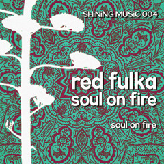Soul On Fire - Red Fulka (Kareem Raïhani & Praful)