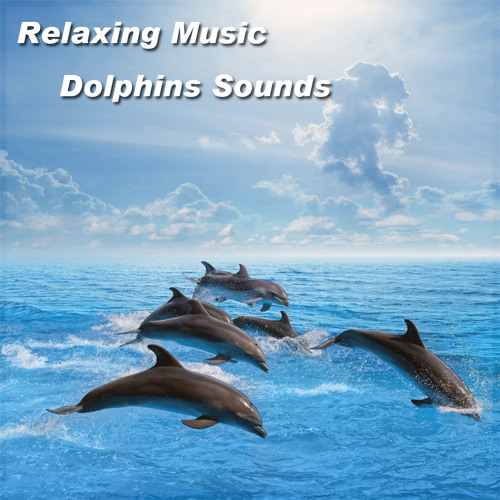 Relaxing Music Dolphins Sounds | Sleep Background - Meditation - Spa - Yoga - Reiki Zen - Tai chi