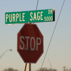 Prince Nawfy- H24D (Hood)