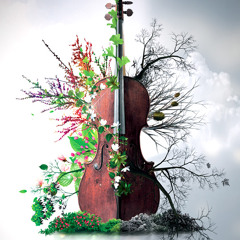 8Dio Solo Cello Designer: "Excerpt From Plethora Demo" by Troels Folmann