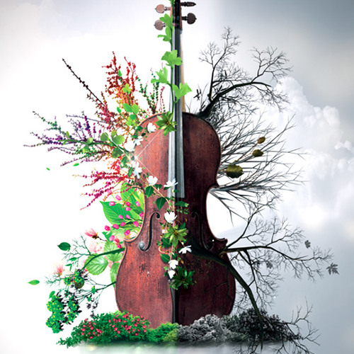 8Dio Solo Cello Designer: "Excerpt From Plethora Demo" by Troels Folmann