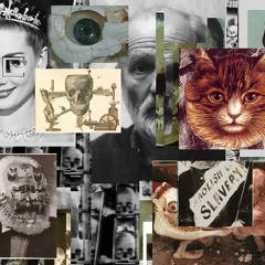 Under The Noon Light