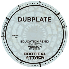 Education RMX / Version - Mr Zebre [RAR DUBPLATE]