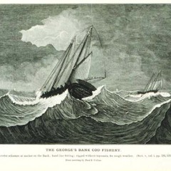 The Fisherman