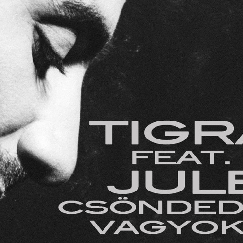 Tigran feat. Jules - Csönded vagyok (Radio Edit) preview