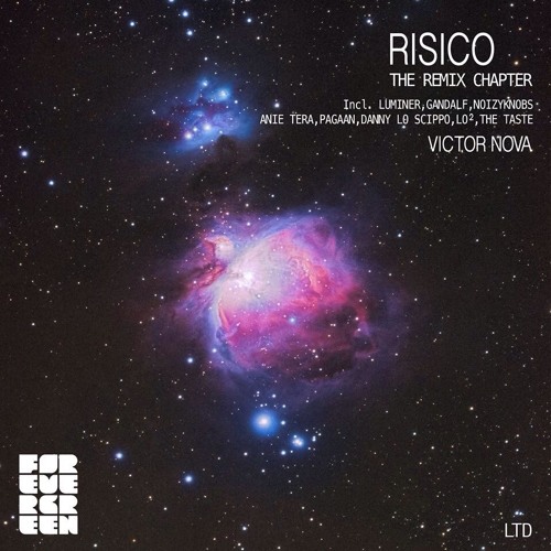 Risico - Playground (Danny Lo Scippo Remix)
