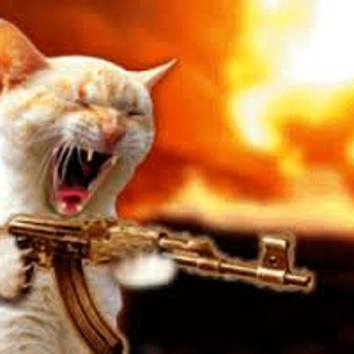 Shellington Junction Freestyle (Voltage - Locked On)