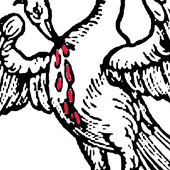 kit n c.l.a.w.s. - Live BayArea 51 - Feb2015