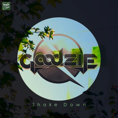 Goodzie - Shake Down