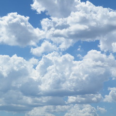 Coppo- Still Dreaming