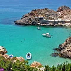 Back To The Island