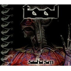 Schism-(tool cover)