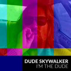 I'm The Dude (Original Mix)