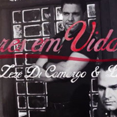 Zezé Di Camargo Luciano - Flores Em Vida  Remix Dance House Dj Fernando Mix Sc