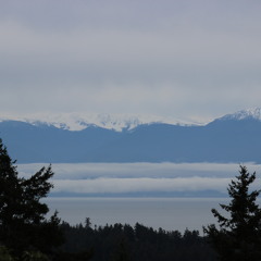 Better Together (cover)