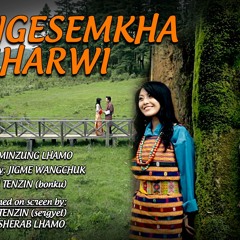 NGE SEMKHA SHAWI