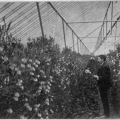 Von Bora - Un Dia En Abril