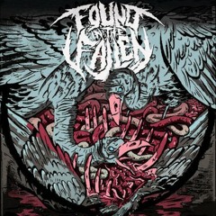 Found In The Fallen - Decimation