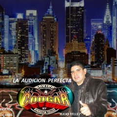LA CUMBIA DE SAN JUAN SONIDO COUGAR NY