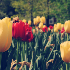 Make You Happy Demo (Instrumental)