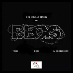 Big BULLY Crew (Jui$e x DOM x SmokeSession) - B-Boy Freestyle