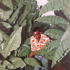 A Man Of Experience And Wisdom