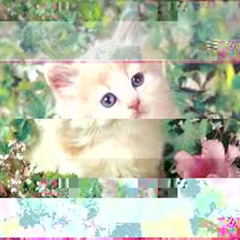 Open Heart Surgery (The Brian jonestown massacre cover)