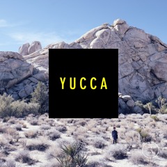Zimmer - Yucca | February 15 tape