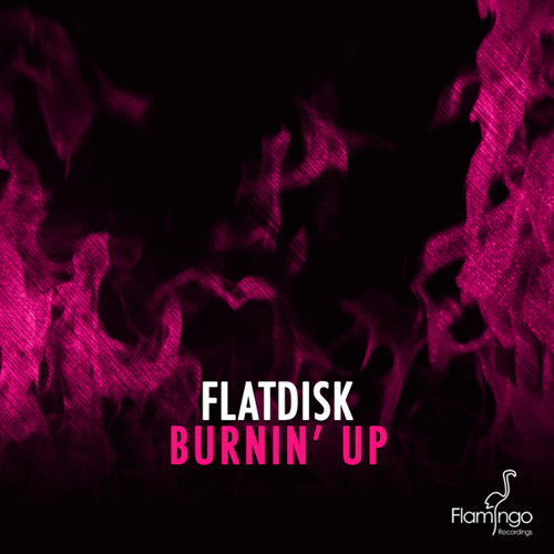 Thumbnail Flatdisk Burnin Up Preview Available March 9